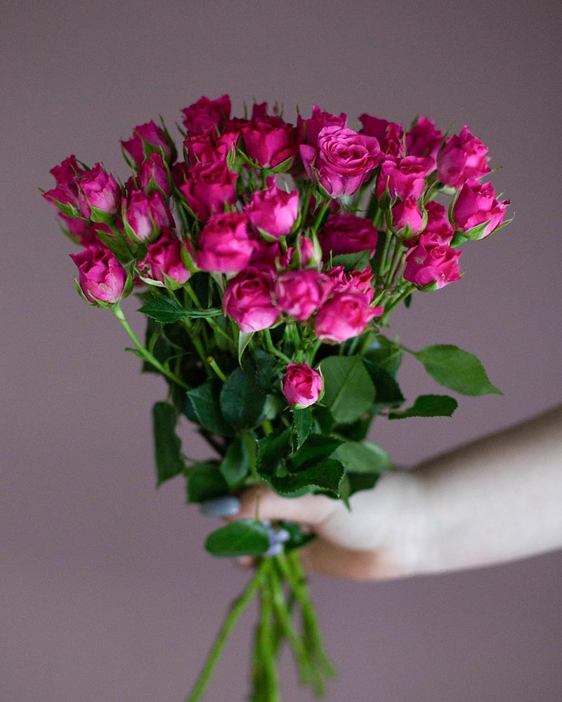  Роза кустовая микс 60см