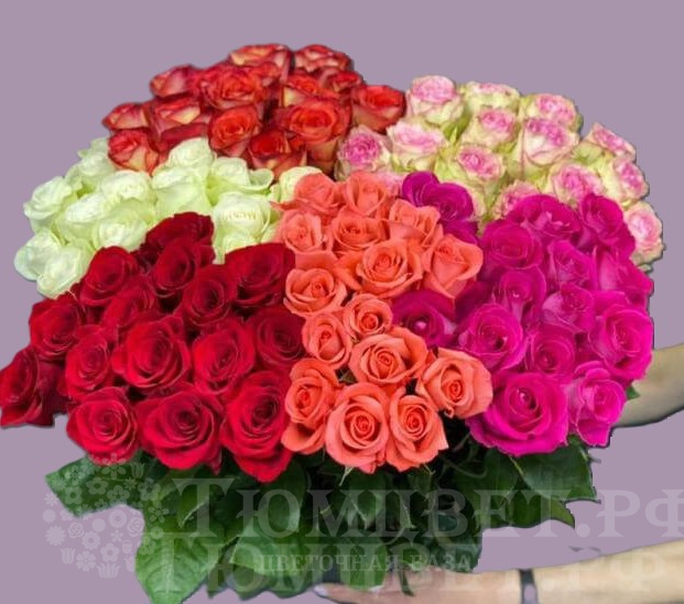  Роза Эквадор микс 60 см